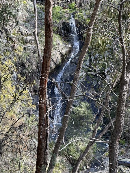 Carrolls Creek Waterfall