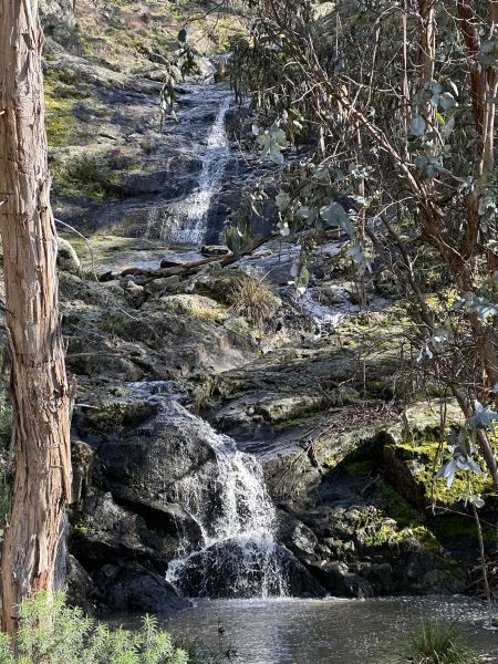 Carrolls Creek Waterfall