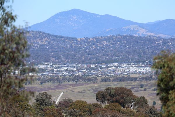 Denman Prospect