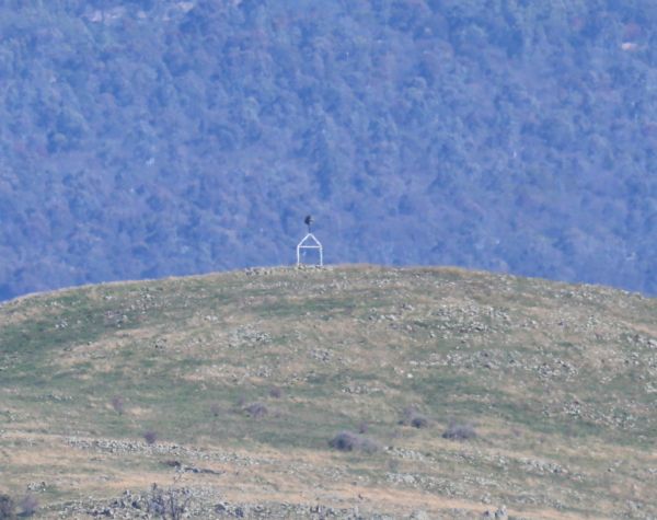 Walker Hill trig