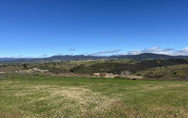 View over the Ginninderry Conservation Corridor