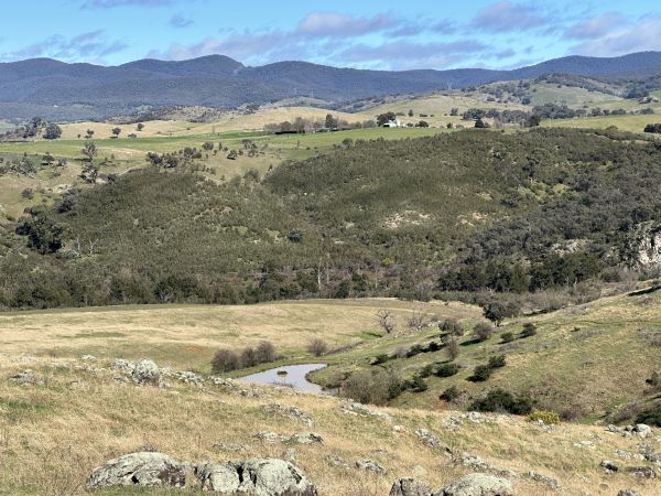 View over the Ginninderry Conservation Corridor