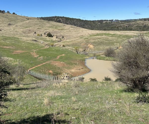 Swing bridges and Triangle Dam at Ginninderry Conservation Corridor