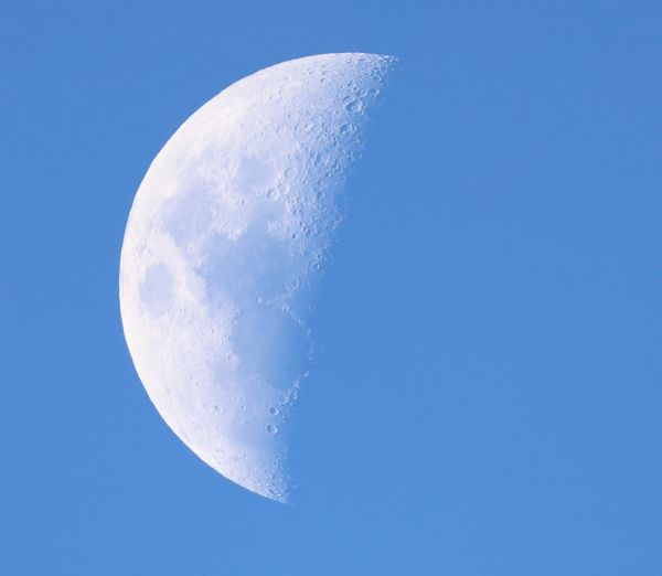 Moon