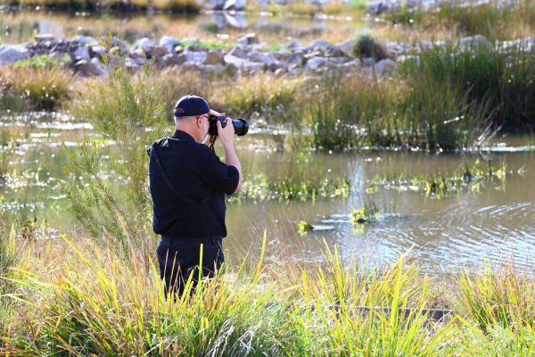 Birdwatcher