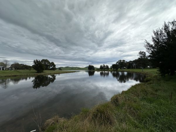 West Belconnen Pond