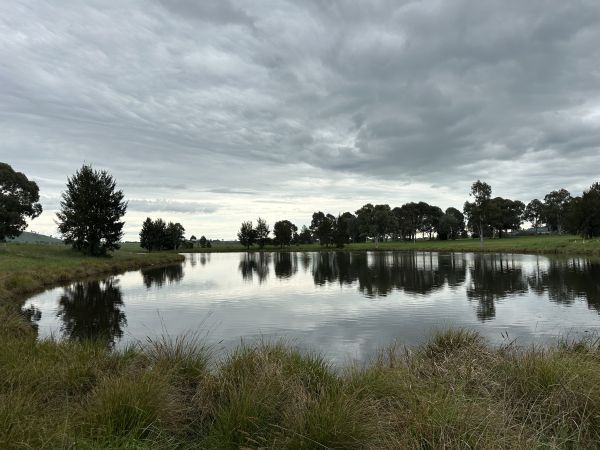 West Belconnen Pond