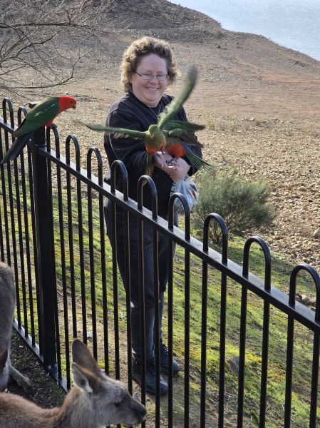 Me and king parrots