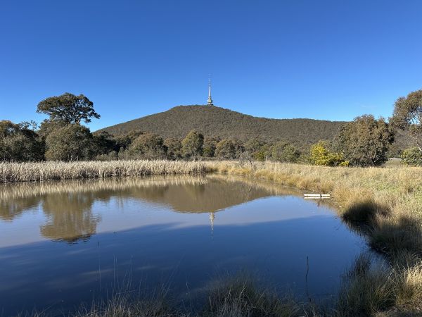 Aranda bushland