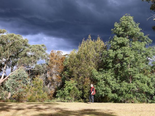 Impending doom