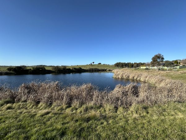 Fassifern Pond