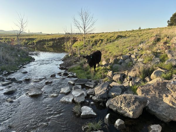 Border walk
