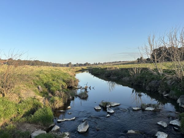 Border walk