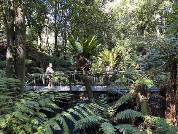 Stu at the botanical gardens