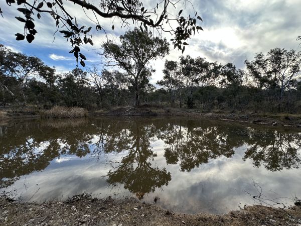Callum Brae pond