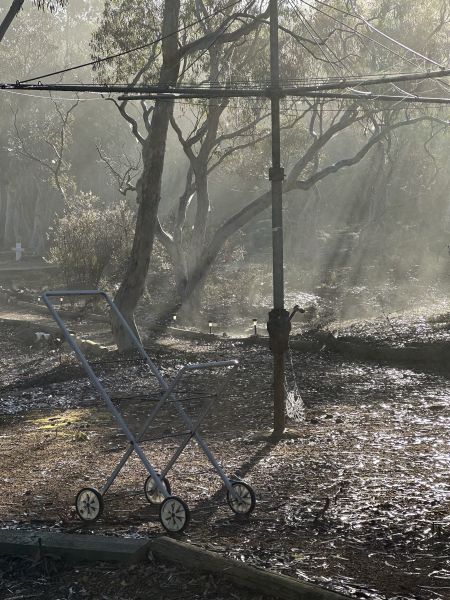 Fog at the club