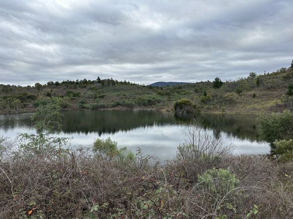 Cotter Dam