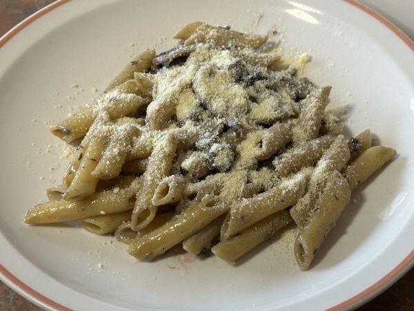 Creamy mushroom pasta
