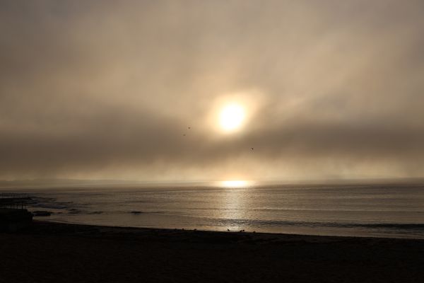 Cronulla sunrise