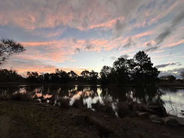 Giralang Pond