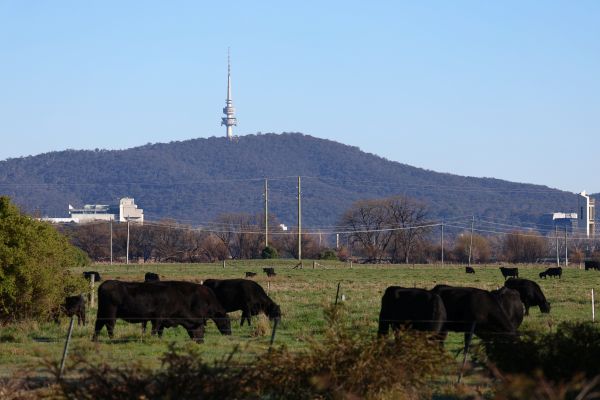 View of Canberra from Jerrabomberra Wetlands