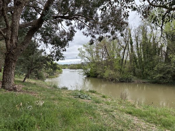 Jerrabomberra Wetlands