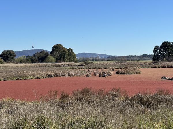 Jerrabomberra Wetlands