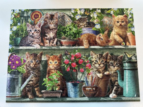 Kittens on a shelf jigsaw