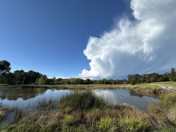 Clouds over Melba Wetlands
