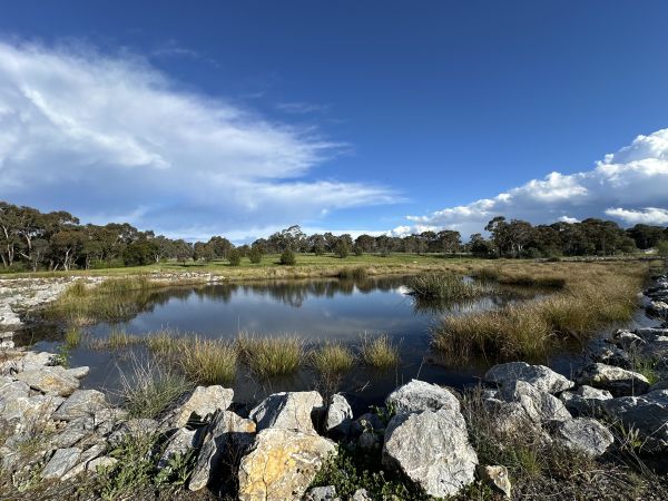 Melba Wetlands
