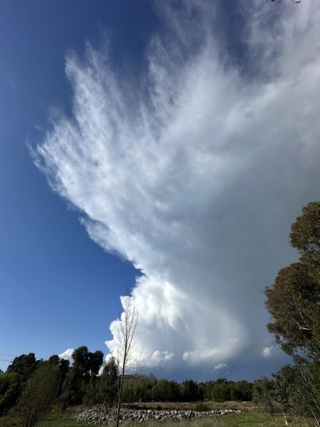 Clouds over Melba Wetlands