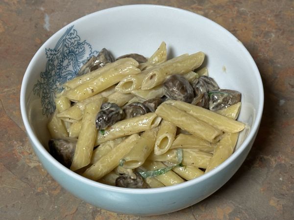 Creamy mushroom pasta