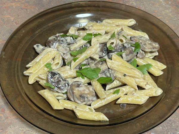 Creamy mushroom pasta