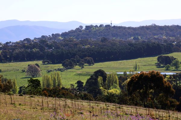 Mt Rogers