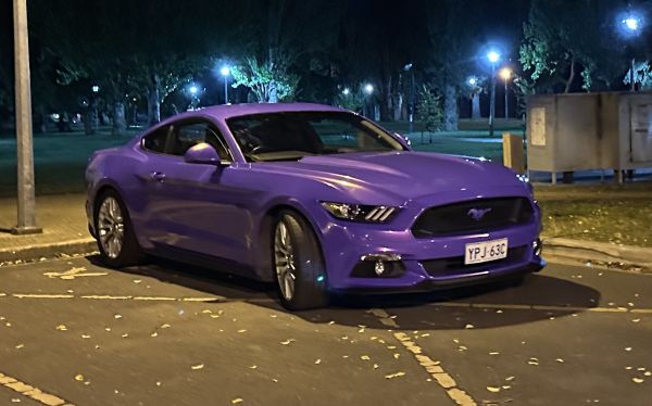 Purple Mustang