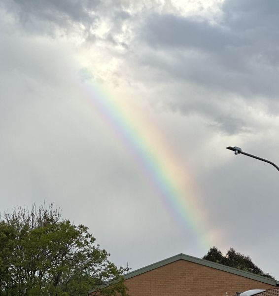 Rainbow