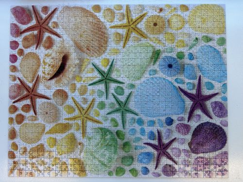 Rainbow shells jigsaw