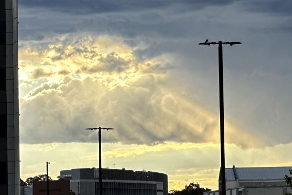 Sun rays