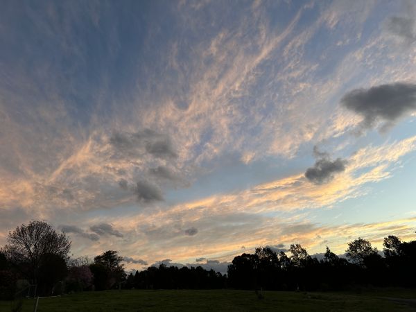 Sky