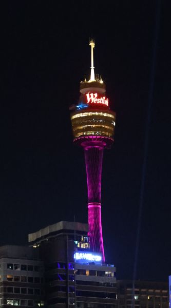 View from Vivid party boat