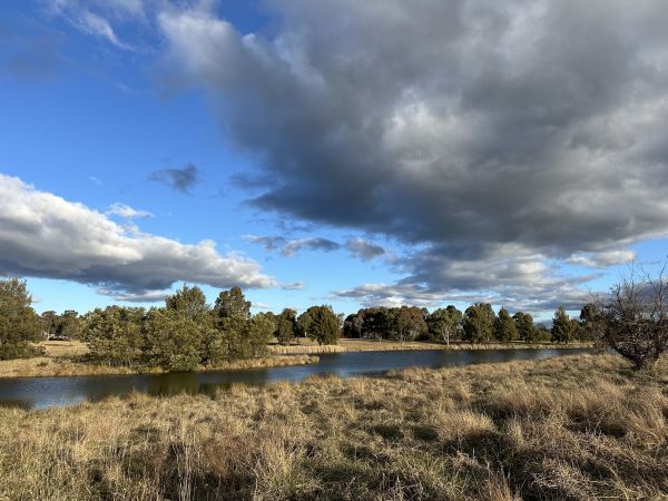 West Belconnen Pond