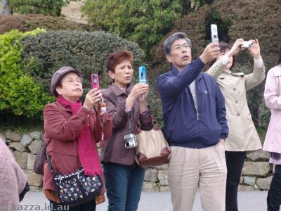 Taking photos on phone cameras