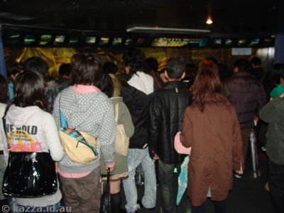 Crowds at the aquarium - made seeing things very hard