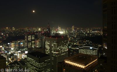 Moorise over Tokyo from the Metropolitan Government Office