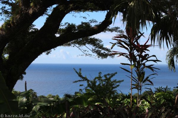 View of the Caribbean from Romney Manor grounds