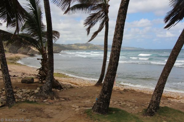 Bathsheba Beach