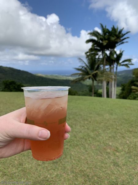 A rum punch and the view north over Barbados from Highlands Bar