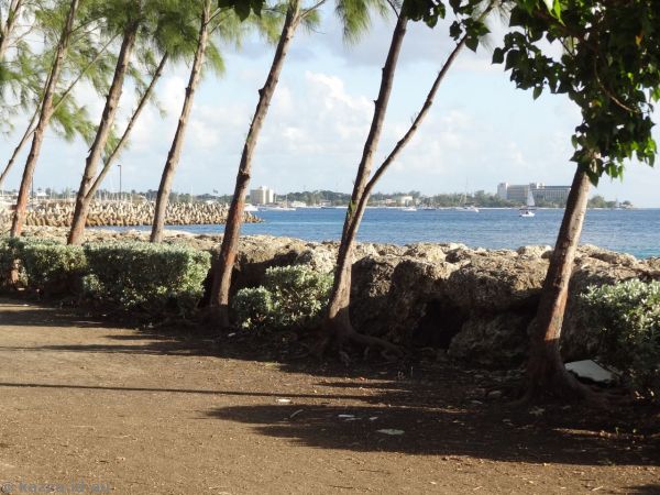 Barbados foreshore on the walk back to the ship