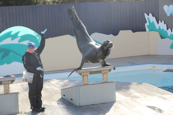 Sea Lion show at New York Aquarium