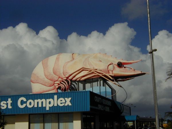The Big Prawn at Ballina